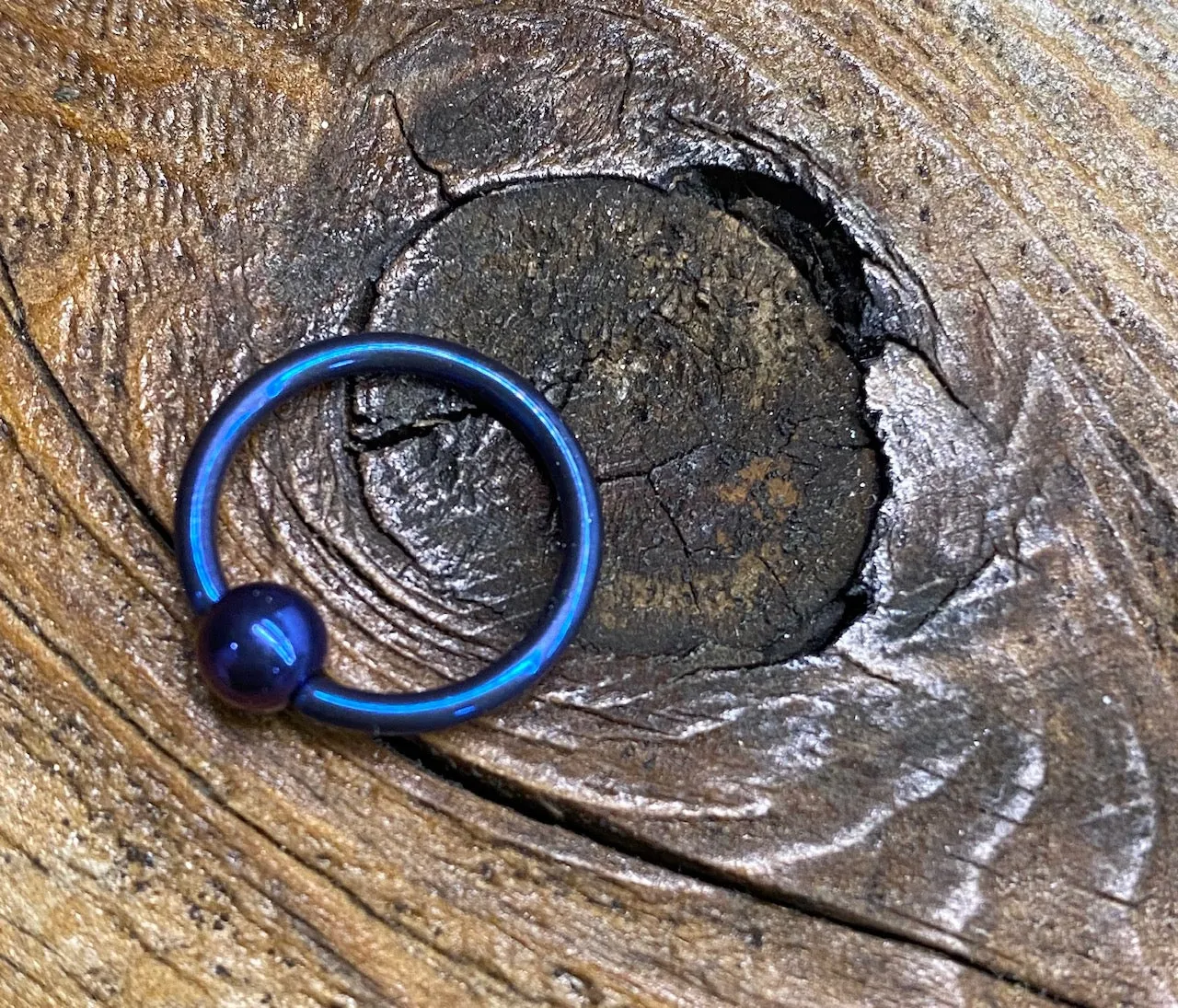 16g Anodized Niobium Captive Bead Rings