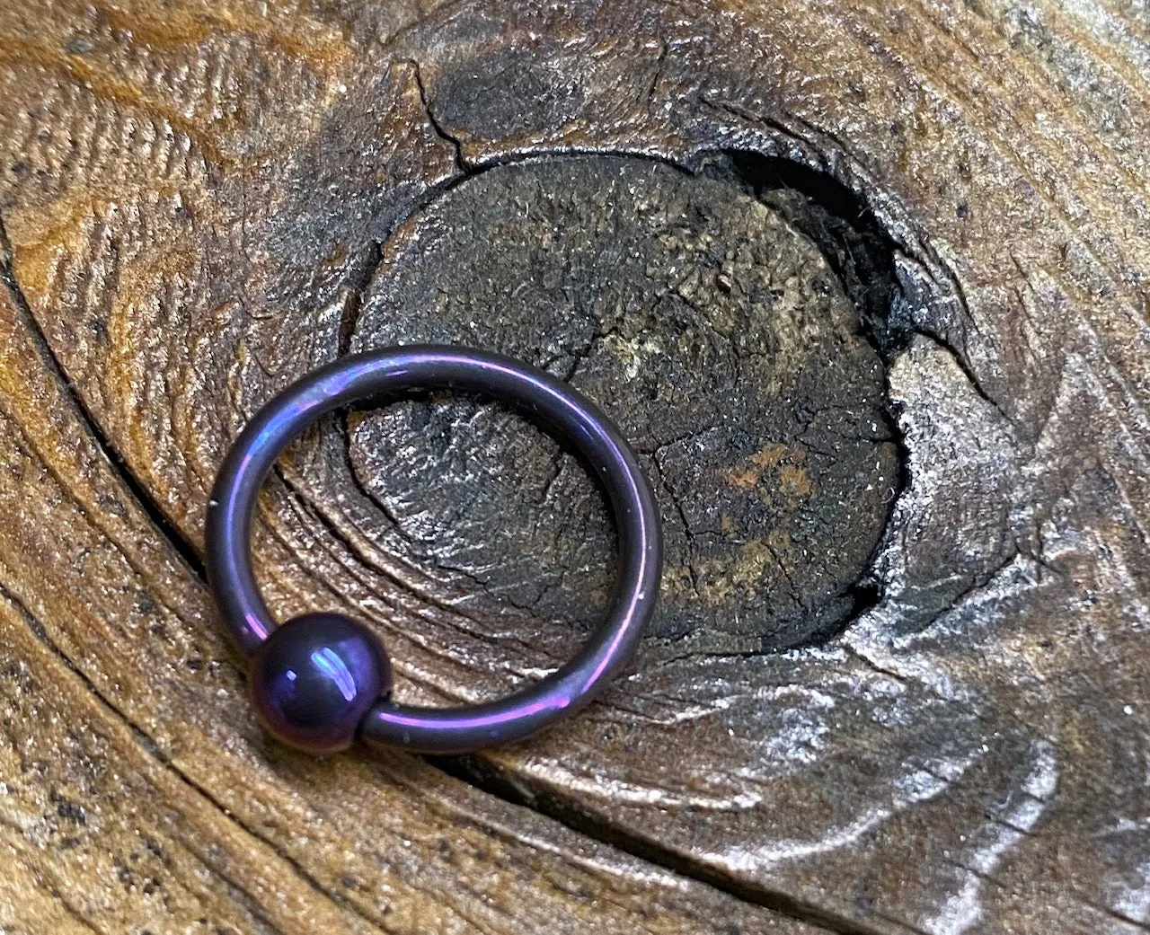 16g Anodized Niobium Captive Bead Rings