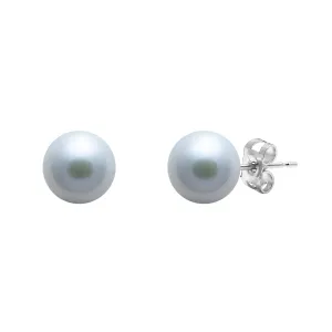 6-6.5mm Grey Freshwater Pearl Sterling Silver Stud Earrings