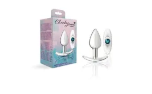 Luxury Silver Anchor Butt Plug Set with Clear and Pink Jewel Charms