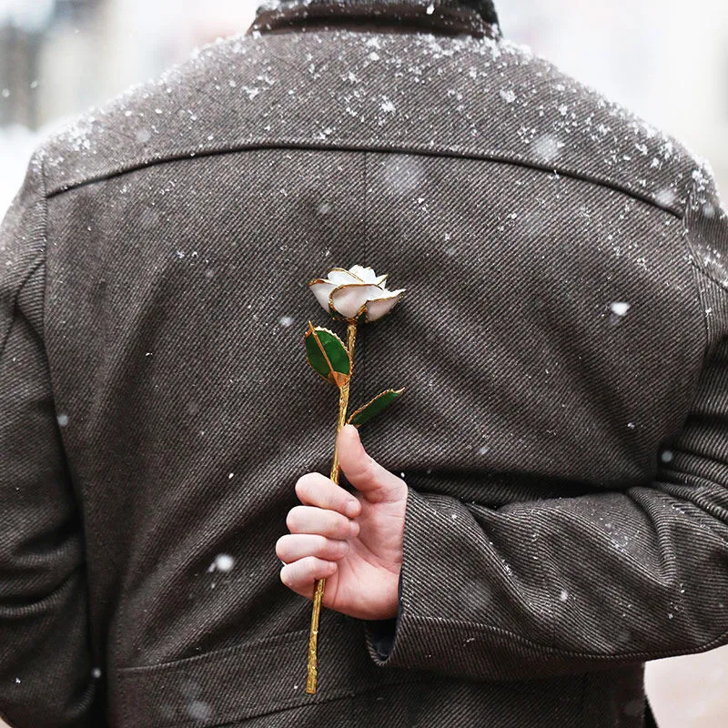 Frozen 24kt Gold Dipped Rose